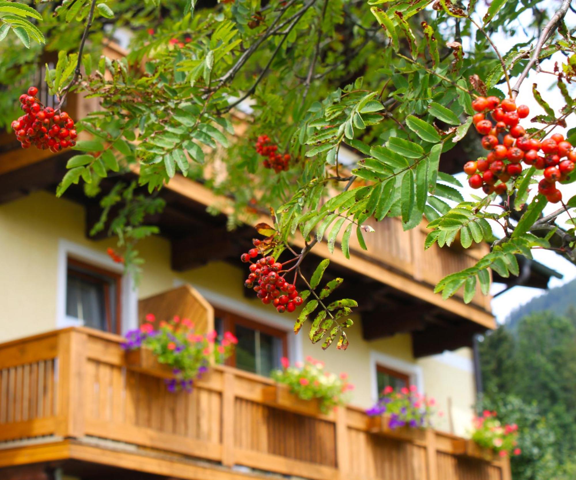 Haus Farmer Sankt Martin am Tennengebirge Dış mekan fotoğraf